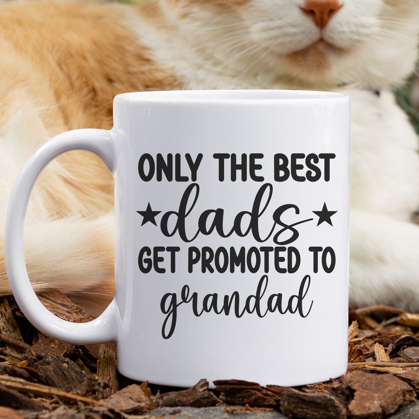 Only the Best Dad's get promoted to Grandad Pregnancy announcement Gift Mug