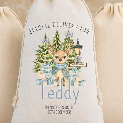 Personalised 'Special Delivery For' Luxury Santa Sack - Reindeer & Santa Design